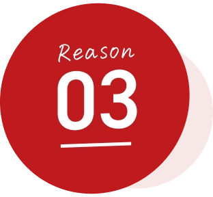 Reason03